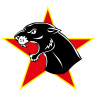 Stemma Pumas Viareggio