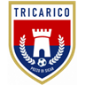 Stemma Tricarico Pozzo di Sicar