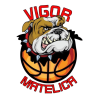 Stemma Halley Vigor Basket Matelica